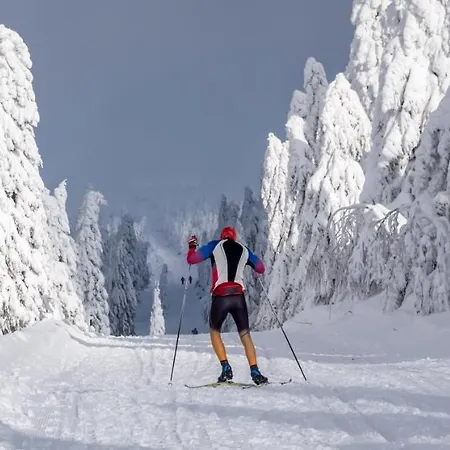 K2 Klínovec Views - Mezonet Apartamento