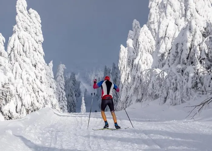 K2 Klinovec Views - Mezonet Appartement